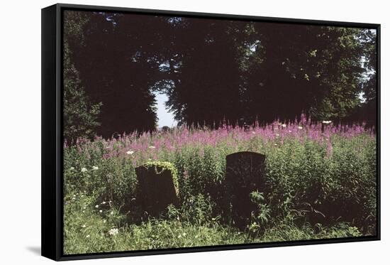 Churchyard, St Michael and All Angels, Great Tew, Oxfordshire, England-Simon Marsden-Framed Stretched Canvas