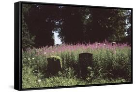 Churchyard, St Michael and All Angels, Great Tew, Oxfordshire, England-Simon Marsden-Framed Stretched Canvas