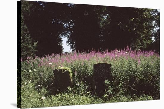 Churchyard, St Michael and All Angels, Great Tew, Oxfordshire, England-Simon Marsden-Stretched Canvas