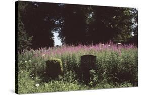 Churchyard, St Michael and All Angels, Great Tew, Oxfordshire, England-Simon Marsden-Stretched Canvas