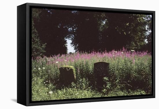 Churchyard, St Michael and All Angels, Great Tew, Oxfordshire, England-Simon Marsden-Framed Stretched Canvas