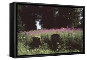 Churchyard, St Michael and All Angels, Great Tew, Oxfordshire, England-Simon Marsden-Framed Stretched Canvas