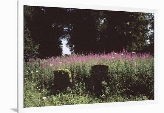 Churchyard, St Michael and All Angels, Great Tew, Oxfordshire, England-Simon Marsden-Framed Giclee Print