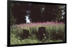 Churchyard, St Michael and All Angels, Great Tew, Oxfordshire, England-Simon Marsden-Framed Giclee Print