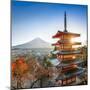 Chureito Pagoda with Mount Fuji during autumn season, Fujiyoshida, Yamanashi prefecture, Japan-Jan Christopher Becke-Mounted Photographic Print