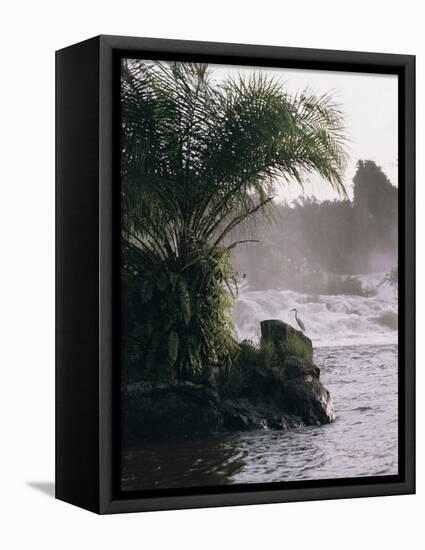 Chutes De La Lobe, Kribi, West Coast, Cameroon, Africa-David Poole-Framed Stretched Canvas