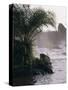 Chutes De La Lobe, Kribi, West Coast, Cameroon, Africa-David Poole-Stretched Canvas