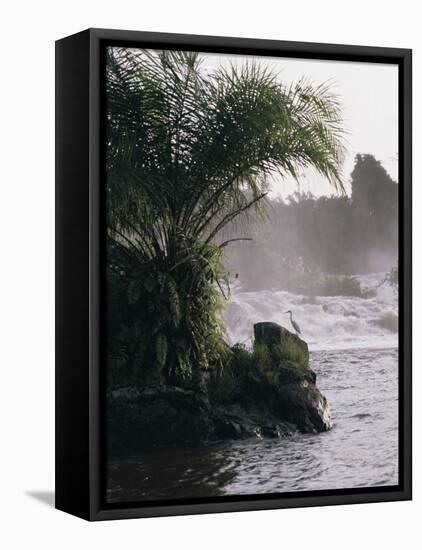 Chutes De La Lobe, Kribi, West Coast, Cameroon, Africa-David Poole-Framed Stretched Canvas