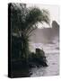 Chutes De La Lobe, Kribi, West Coast, Cameroon, Africa-David Poole-Stretched Canvas