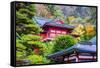 Chuzen-Ji Temple in Nikko, Tochigi, Japan. October 31-SeanPavonePhoto-Framed Stretched Canvas