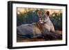 Chyulu Dawn, 2021, (oil on canvas)-Mark Adlington-Framed Giclee Print