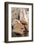 Ciabatta-null-Framed Photographic Print