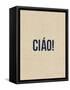 Ciao-Kindred Sol Collective-Framed Stretched Canvas