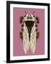 Cicada on Mauve-Tara Reed-Framed Art Print