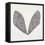 Cicada Wings in Black Ink-Cat Coquillette-Framed Stretched Canvas
