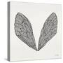 Cicada Wings in Black Ink-Cat Coquillette-Stretched Canvas