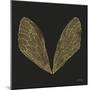 Cicada Wings in Gold Ink on Black-Cat Coquillette-Mounted Premium Giclee Print