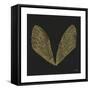 Cicada Wings in Gold Ink on Black-Cat Coquillette-Framed Stretched Canvas
