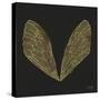 Cicada Wings in Gold Ink on Black-Cat Coquillette-Stretched Canvas