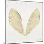 Cicada Wings in Gold Ink-Cat Coquillette-Mounted Giclee Print