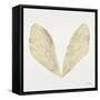 Cicada Wings in Gold Ink-Cat Coquillette-Framed Stretched Canvas