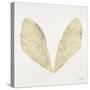 Cicada Wings in Gold Ink-Cat Coquillette-Stretched Canvas