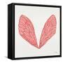 Cicada Wings in Red Ink-Cat Coquillette-Framed Stretched Canvas