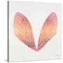 Cicada Wings in Red Ombre Ink-Cat Coquillette-Stretched Canvas