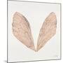 Cicada Wings in Rose Gold Ink-Cat Coquillette-Mounted Giclee Print