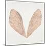 Cicada Wings in Rose Gold Ink-Cat Coquillette-Mounted Premium Giclee Print