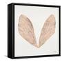 Cicada Wings in Rose Gold Ink-Cat Coquillette-Framed Stretched Canvas