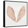 Cicada Wings in Rose Gold Ink-Cat Coquillette-Framed Stretched Canvas