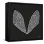 Cicada Wings in White Ink on Charcoal– Cat Coquillette-Cat Coquillette-Framed Stretched Canvas