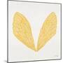 Cicada Wings in Yellow Ink-Cat Coquillette-Mounted Giclee Print