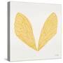 Cicada Wings in Yellow Ink-Cat Coquillette-Stretched Canvas