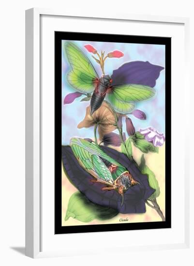 Cicada-James Duncan-Framed Art Print