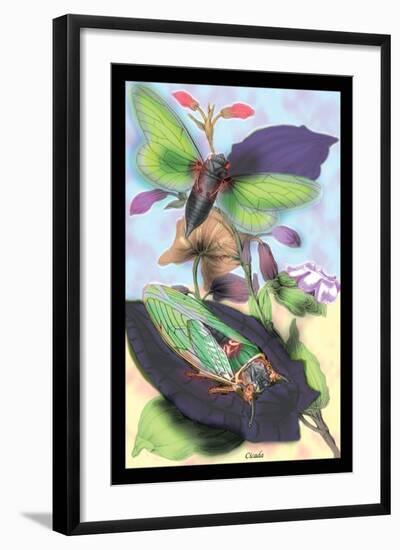 Cicada-James Duncan-Framed Art Print