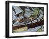 Cicadetta Montana, Cicadidae, Drawing-null-Framed Giclee Print