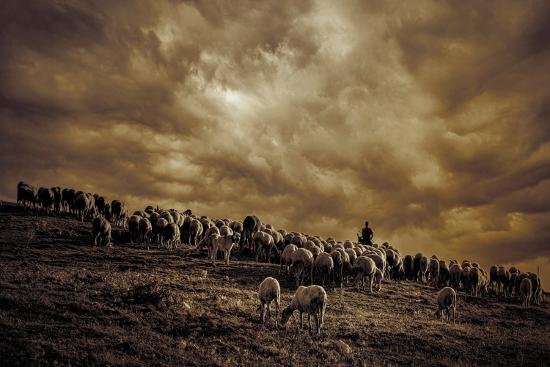 Photographic Print, , large