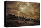 Stretched Canvas
