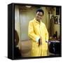 Cicely Tyson-null-Framed Stretched Canvas