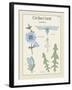 Cichorium-Maria Mendez-Framed Giclee Print