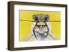 Cicindela Ancocisconensis-Donald Jusa-Framed Photographic Print