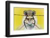 Cicindela Ancocisconensis-Donald Jusa-Framed Photographic Print