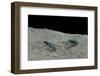 Cicindela Gallica (Tiger Beetle)-Paul Starosta-Framed Photographic Print