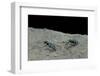 Cicindela Gallica (Tiger Beetle)-Paul Starosta-Framed Photographic Print