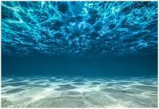 Ocean Bottom, View Beneath Surface-Cico-Photographic Print