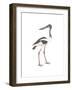 Ciconia-Maria Mendez-Framed Giclee Print