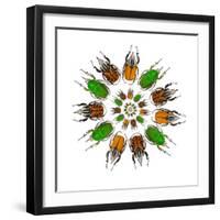 Cicular Design of African Male Beetles Mecynorrhina Family-Darrell Gulin-Framed Photographic Print