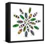 Cicular Design Pattern of Jewel Beetles-Darrell Gulin-Framed Stretched Canvas